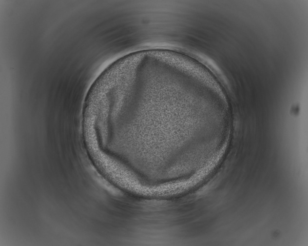 X0000092081236200710101033