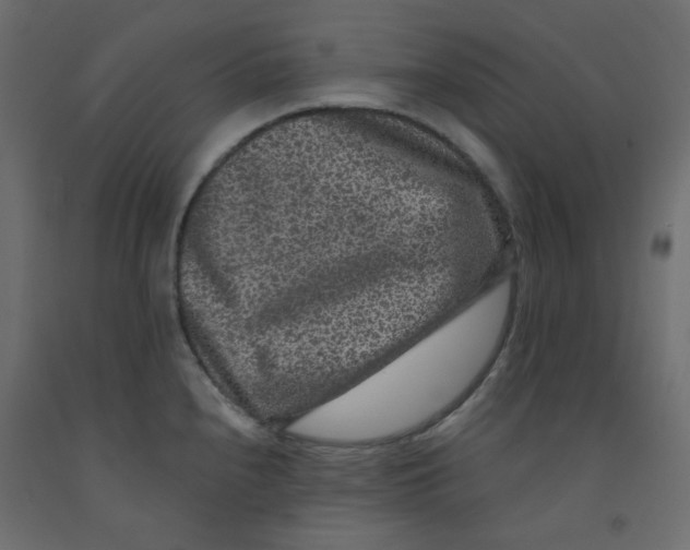 X0000092081240200710101033