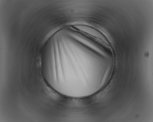 X0000092081241200710101033