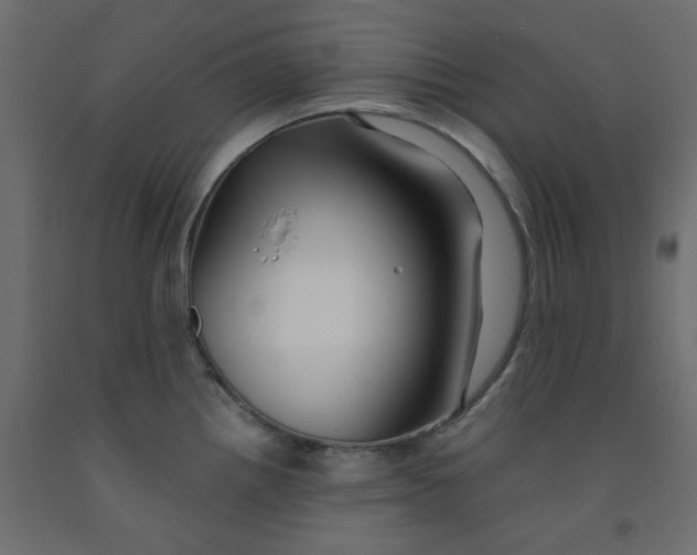 X0000092081242200710101033