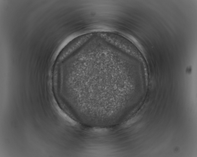 X0000092081243200710101033