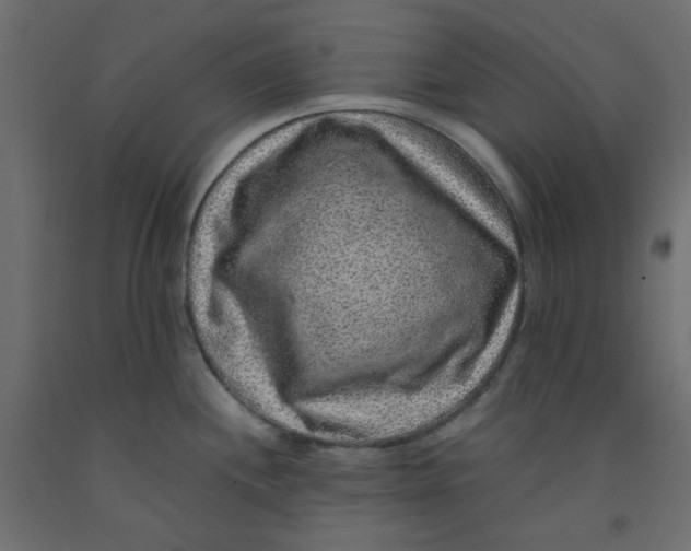 X0000092081244200710101033