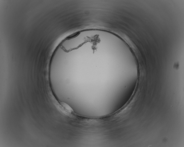 X0000092081246200710101033