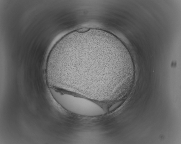 X0000092081248200710101033