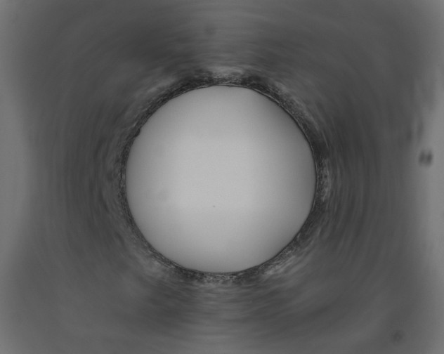 X0000092081249200710101033