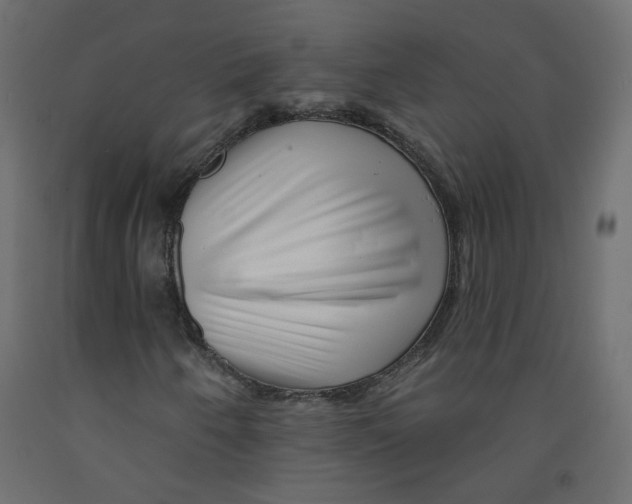 X0000092081250200710101033