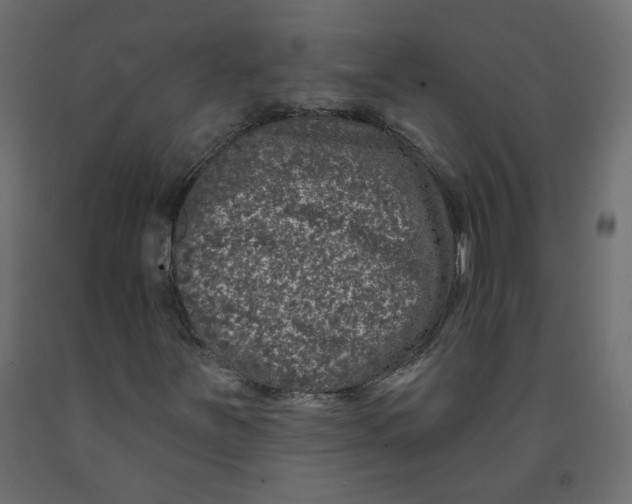 X0000092081251200710101033