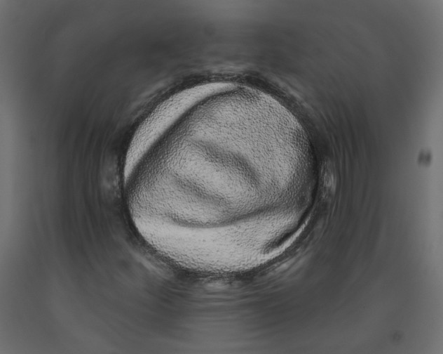 X0000092081252200710101033