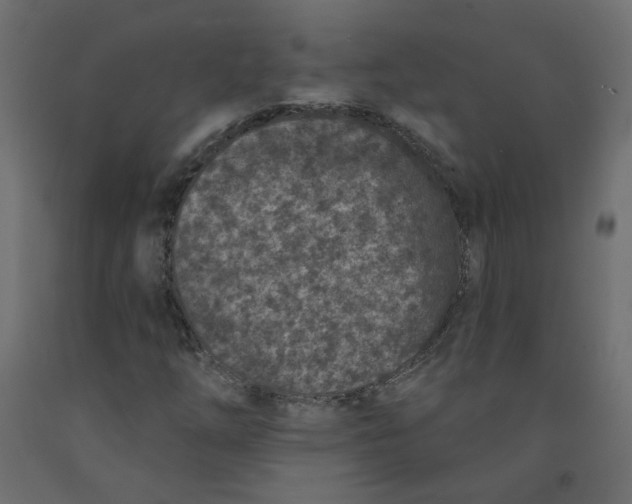 X0000092081254200710101033