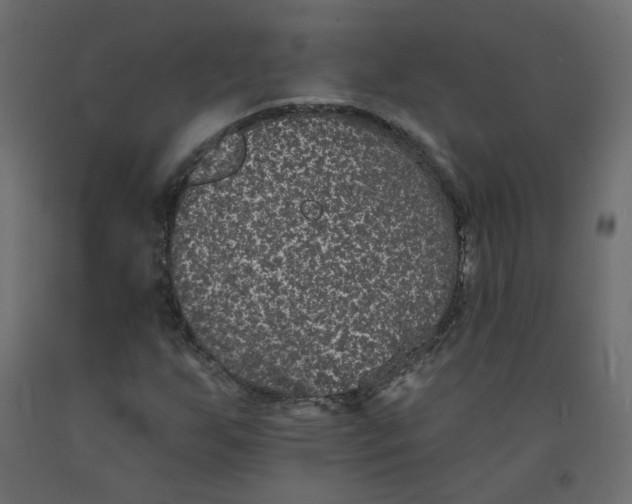 X0000092081255200710101033