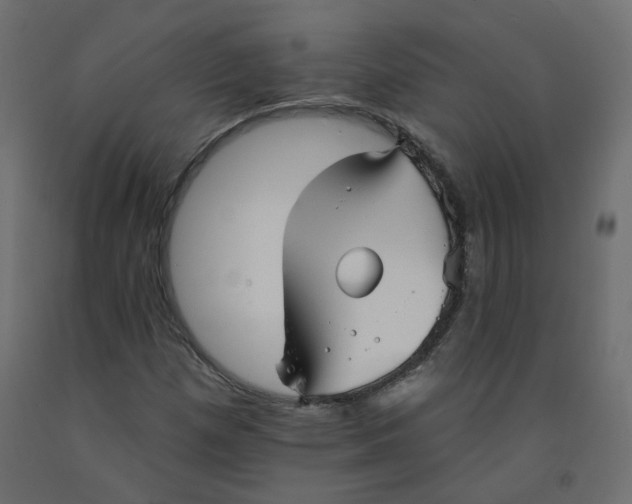 X0000092081257200710101033