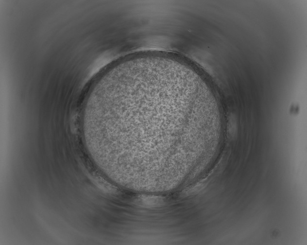 X0000092081258200710101033