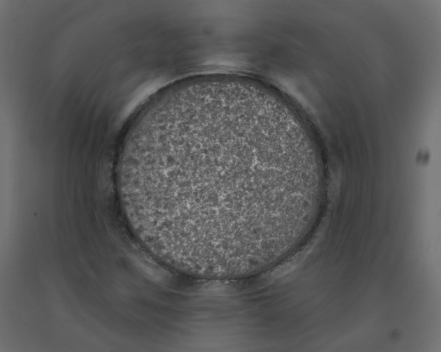 X0000092081259200710101033