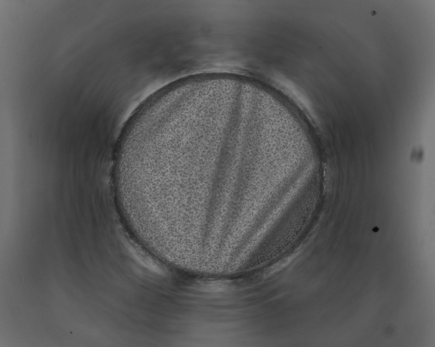 X0000092081260200710101033