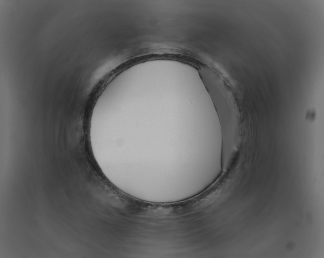 X0000092081261200710101033