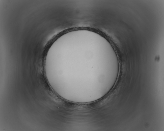 X0000092081262200710101033