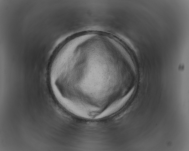 X0000092081264200710101033