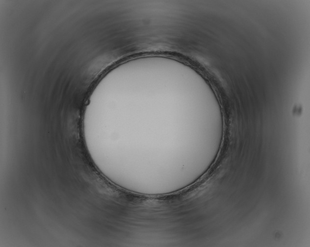 X0000092081265200710101033