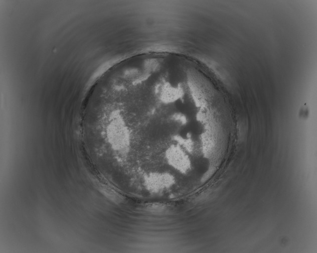 X0000092081266200710101033