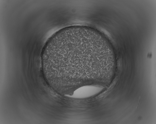 X0000092081267200710101033