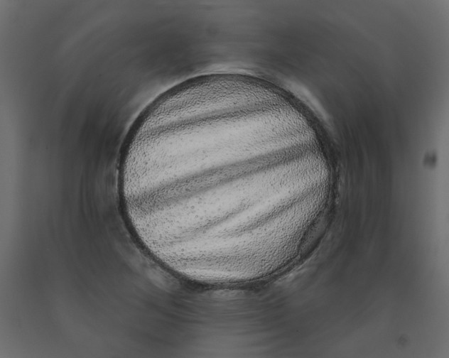 X0000092081268200710101033