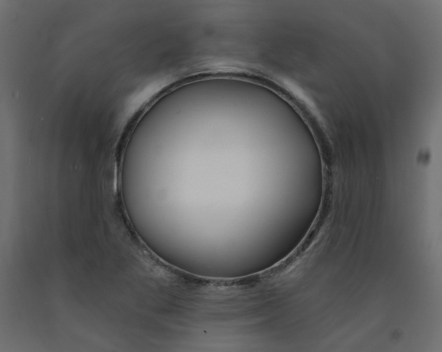 X0000092081269200710101033