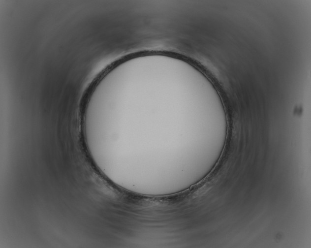 X0000092081270200710101033