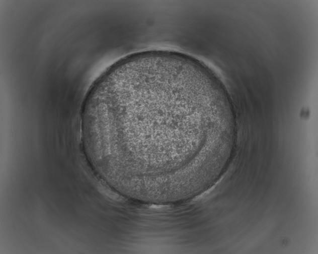 X0000092081271200710101032