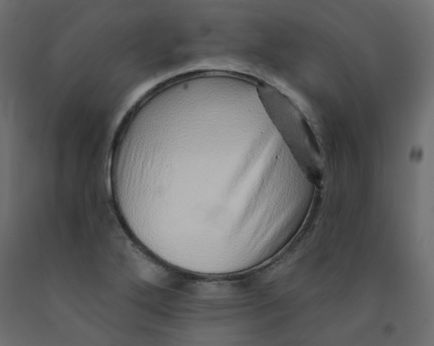 X0000092081272200710101032