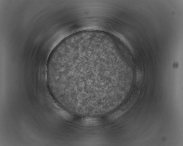 X0000092081274200710101032