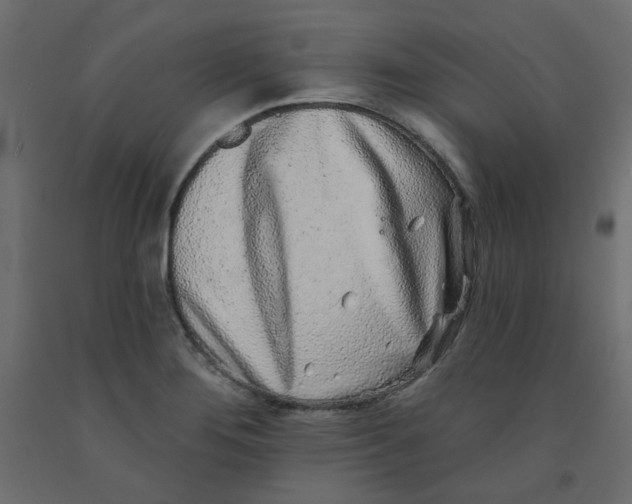 X0000092081276200710101032