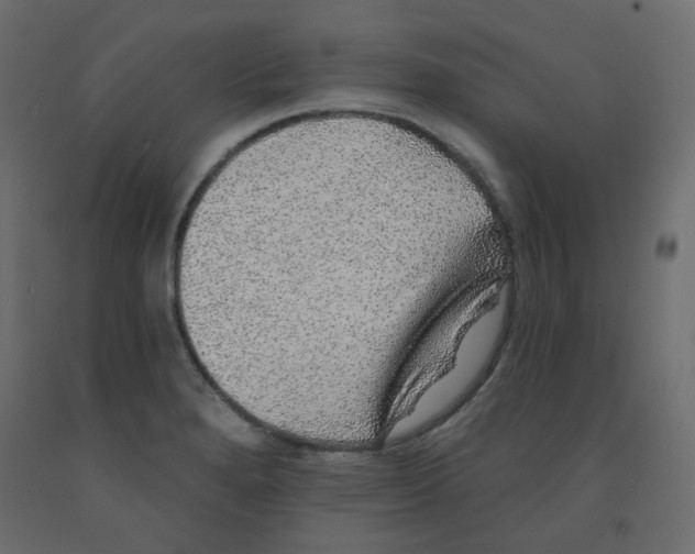 X0000092081280200710101032