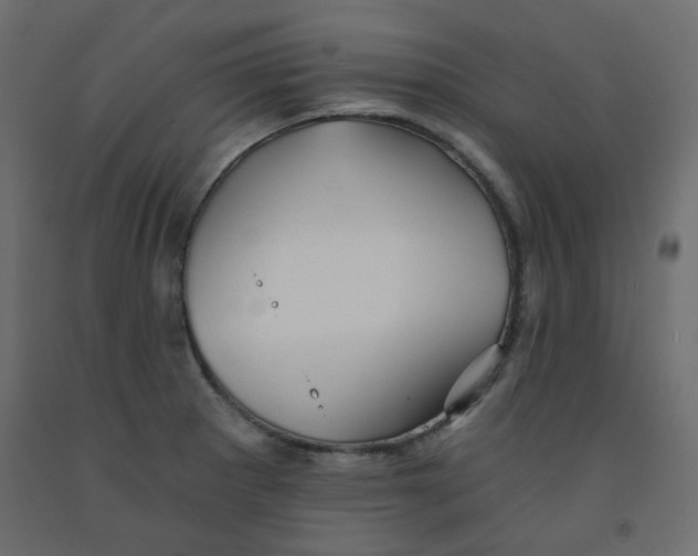 X0000092081281200710101032