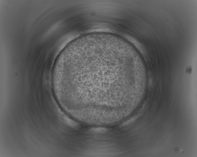 X0000092081282200710101032