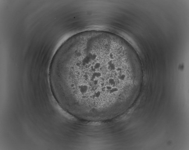 X0000092081283200710101032