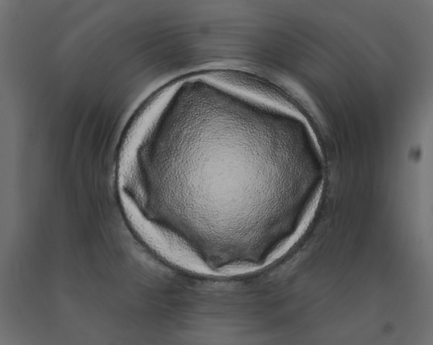 X0000092081284200710101032