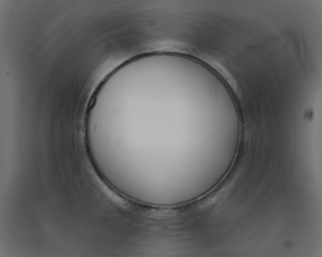 X0000092081285200710101032