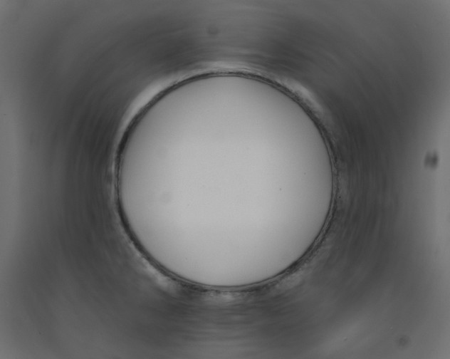 X0000092081286200710101032