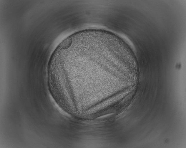 X0000092081287200710101032