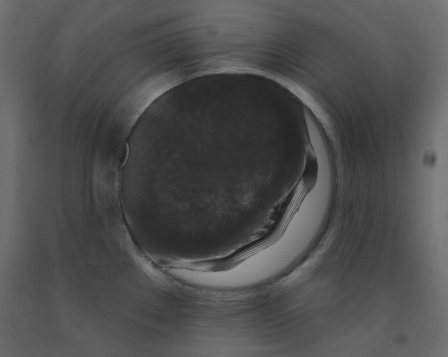 X0000092081289200710101032