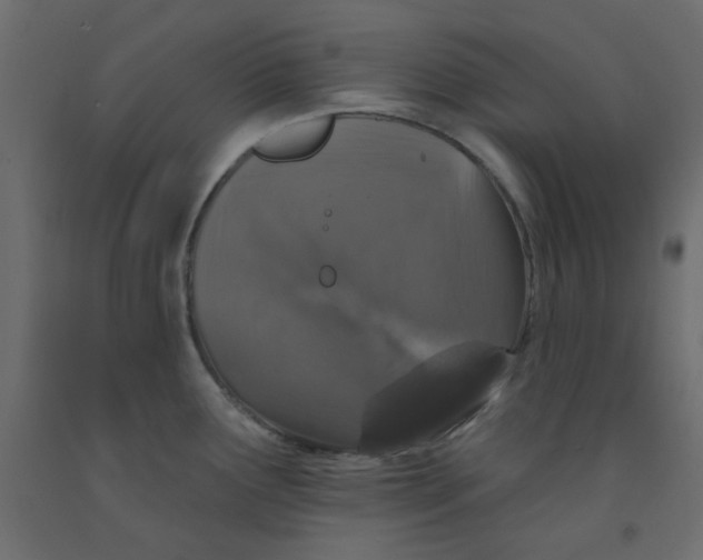 X0000092081291200710101032