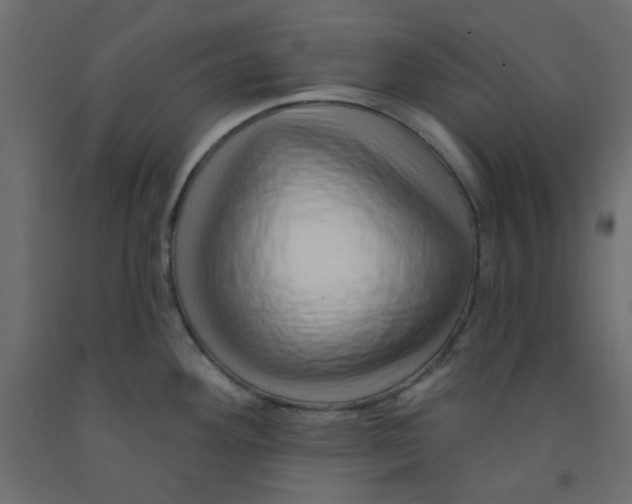 X0000092081292200710101032