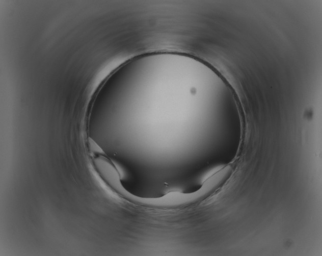 X0000092081293200710101032