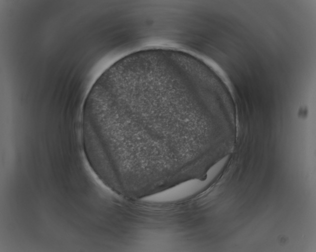 X0000092081295200710101032