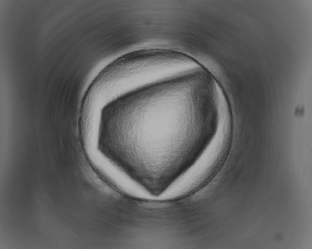 X0000092081296200710101032