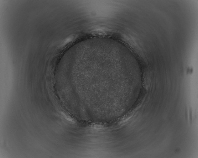 X0000092081297200710101031