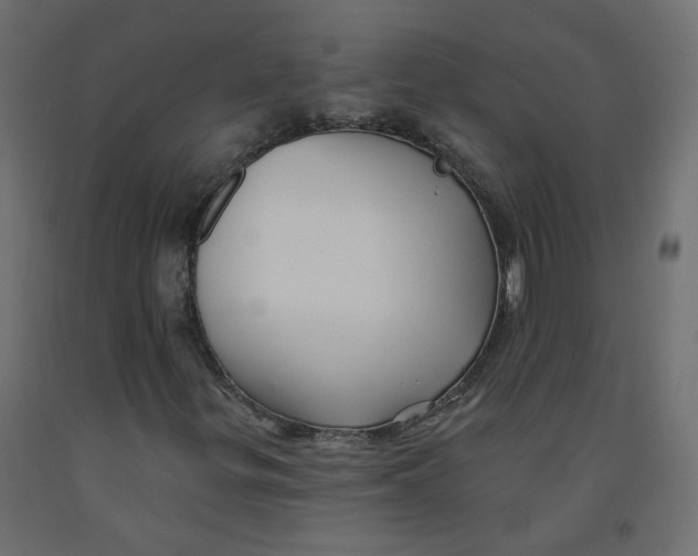 X0000092081299200710101031