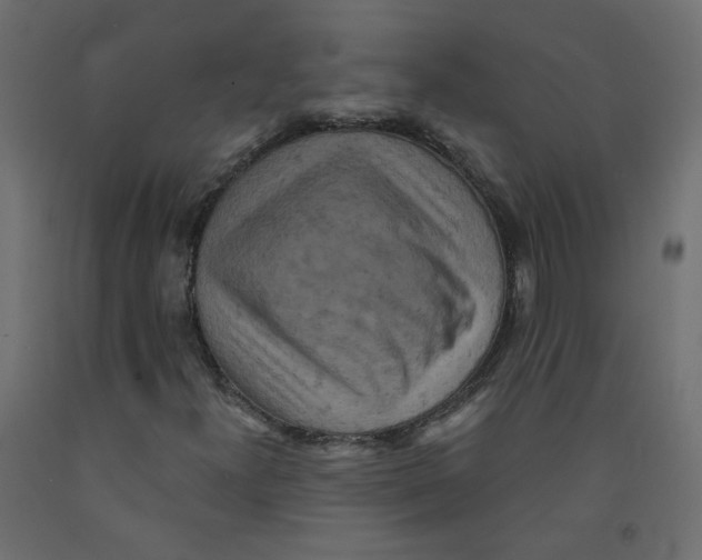 X0000092081300200710101031