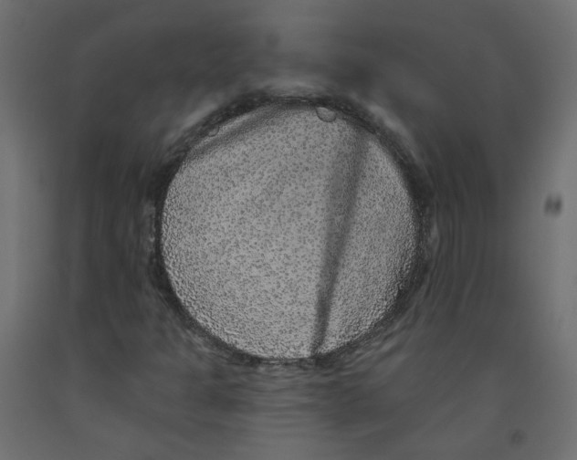 X0000092081301200710101031