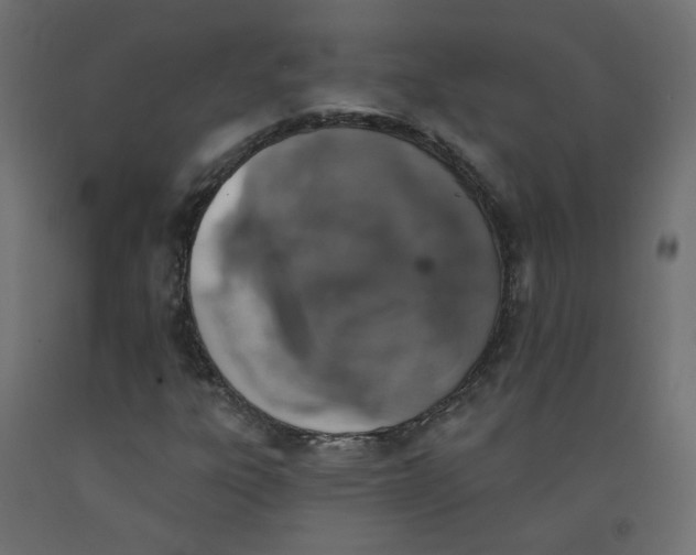 X0000092081303200710101032